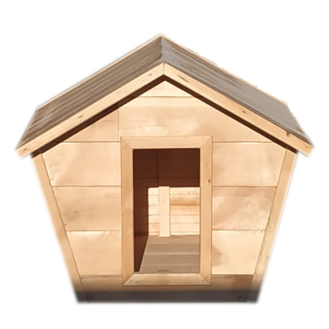 Будка для экстравагантной собаки