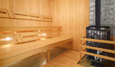 Печь банная чугунная СИБИРЬ-24, панорамное стекло (сетка) (НМК)2